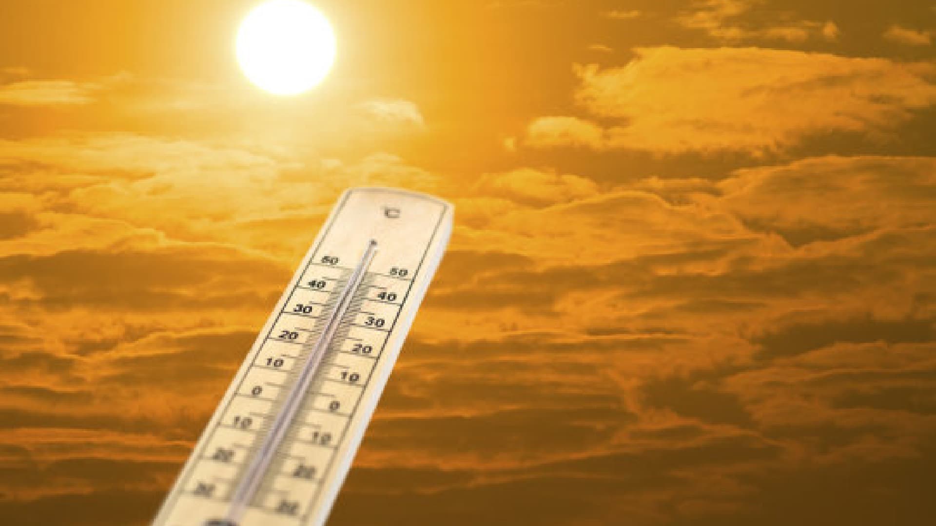 Mercury Climbs as Odisha’s Winter Chill Fades