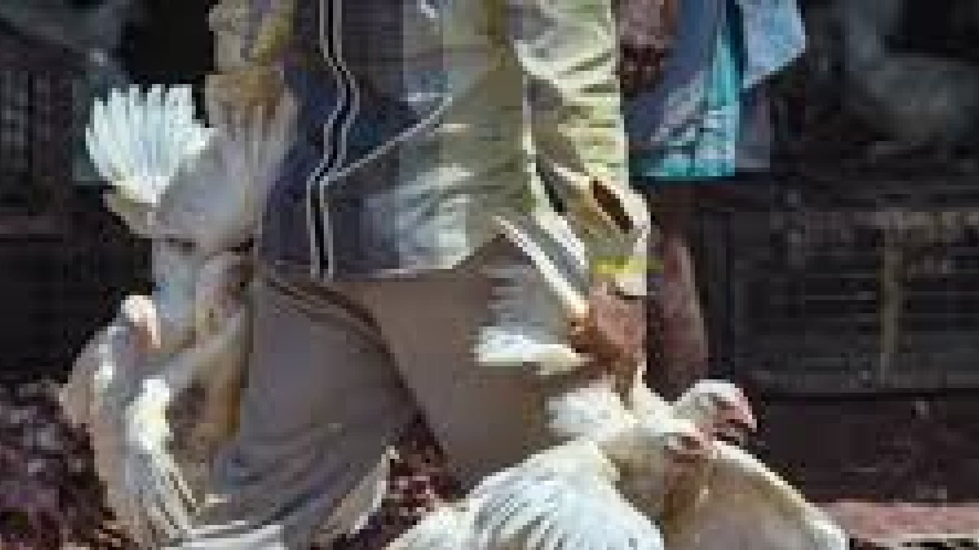 Koraput Administration Rolls Back Order Restricting Non-Veg Food on January 26