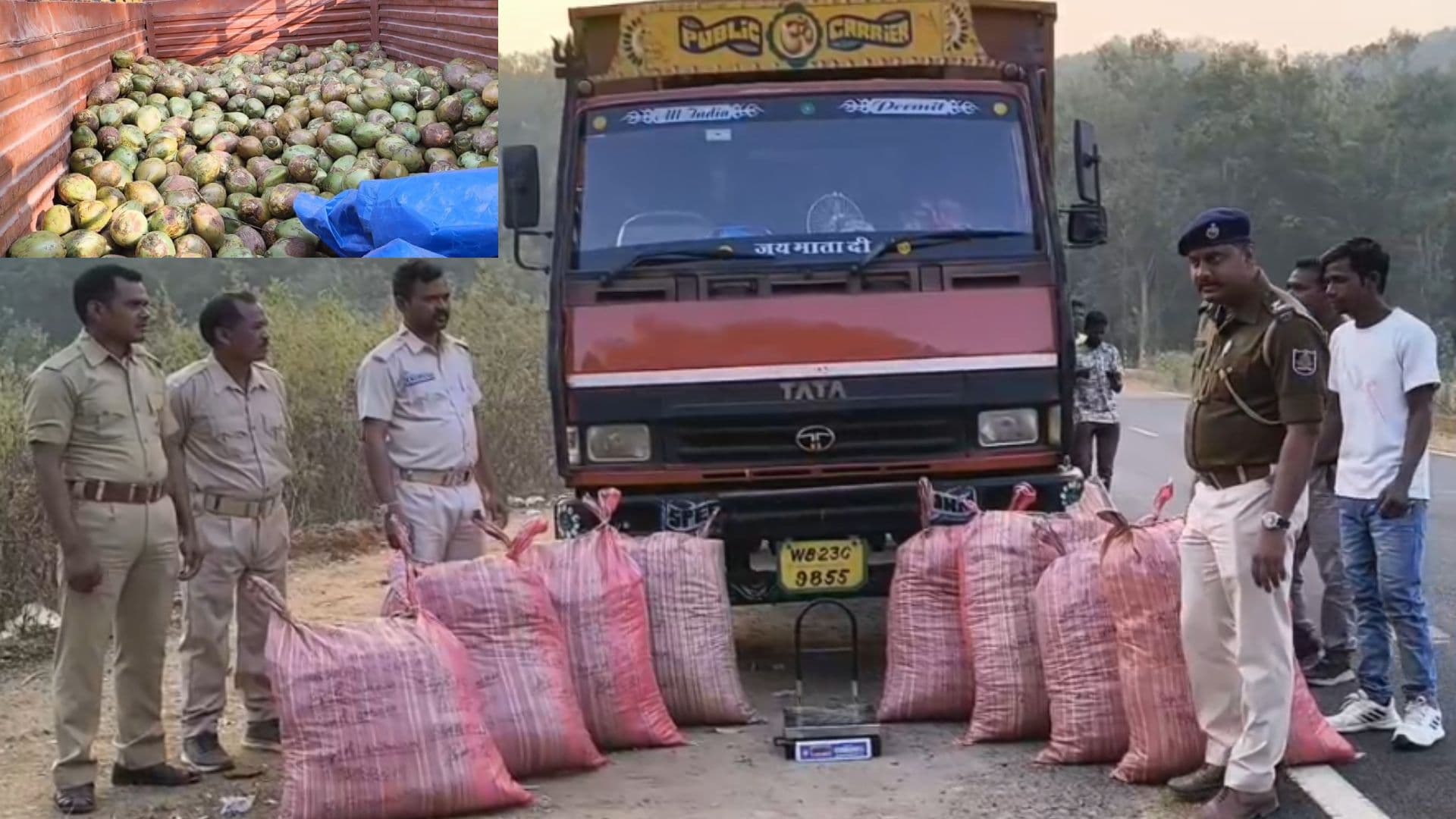 Two Men Attempt to Smuggle 191 Kg Ganja in 'Pushpa' Style, Fail to Dodge Odisha Police 