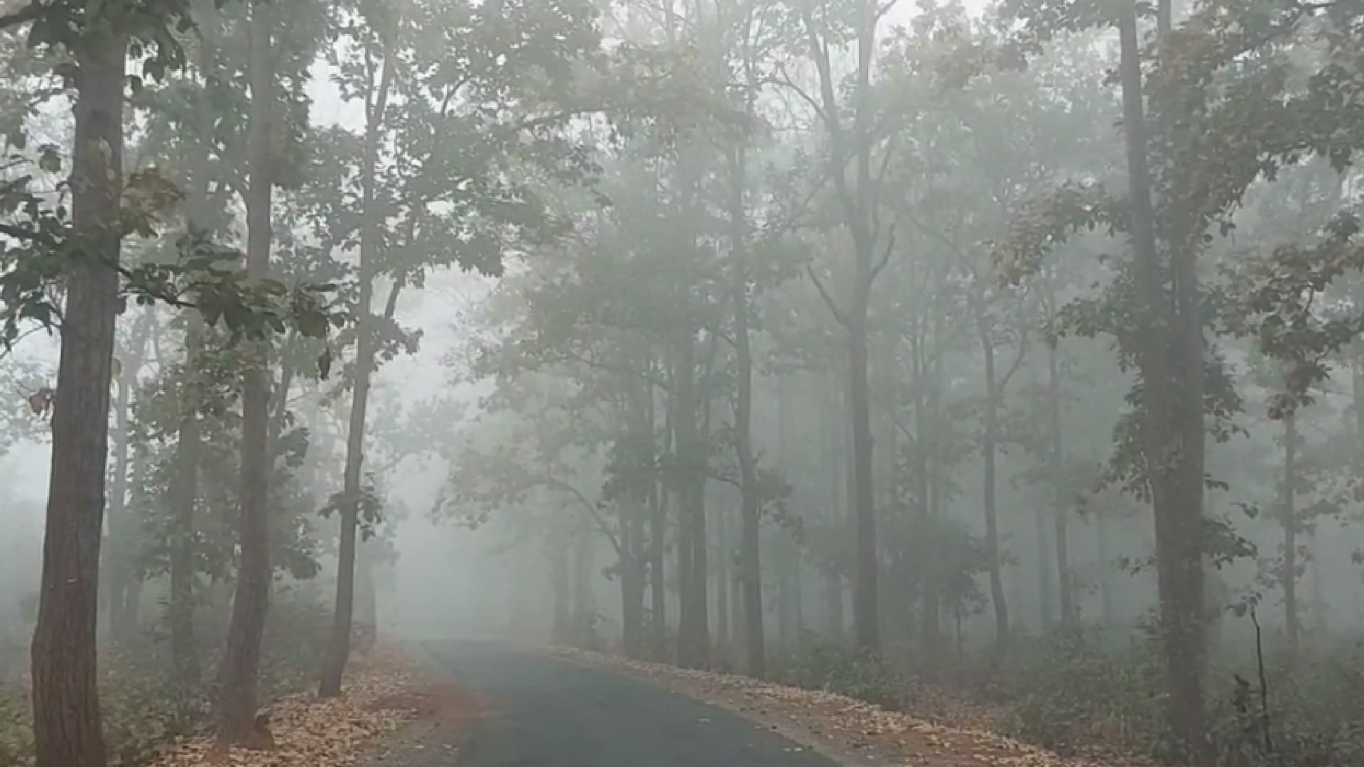 Odisha Shivers Again as Temperatures Fall by 3°C, Fog Alert Issued in These Eight Districts