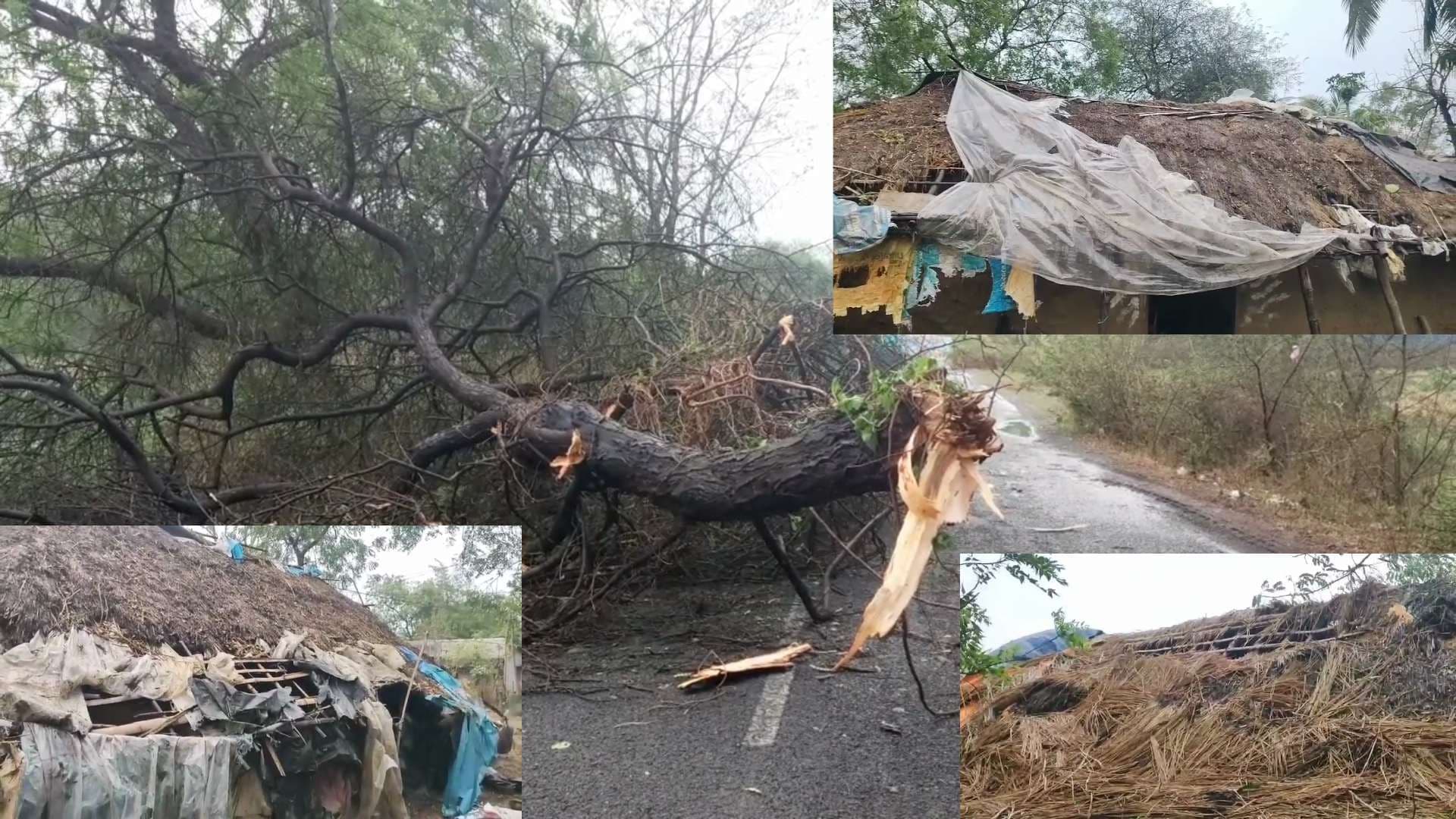 Kalbaisakhi Storm Wreaks Havoc in Bhadrak's Bhandaripokhari & Bant Areas, Homes Damaged and Roads Blocked