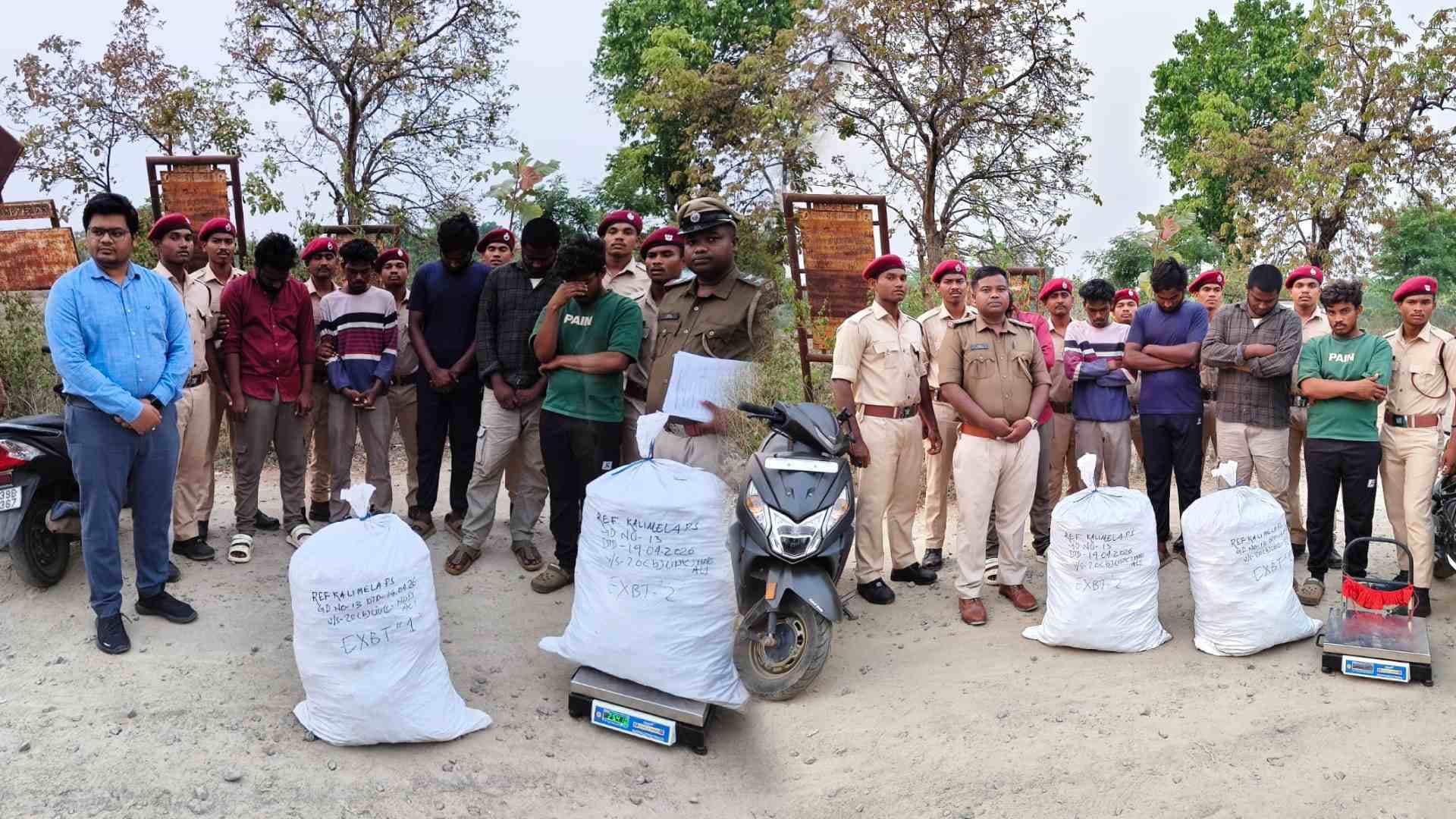 Malkangiri Police Seize 50 Kg Ganja, Arrest Five Near Kalimela Checkpost