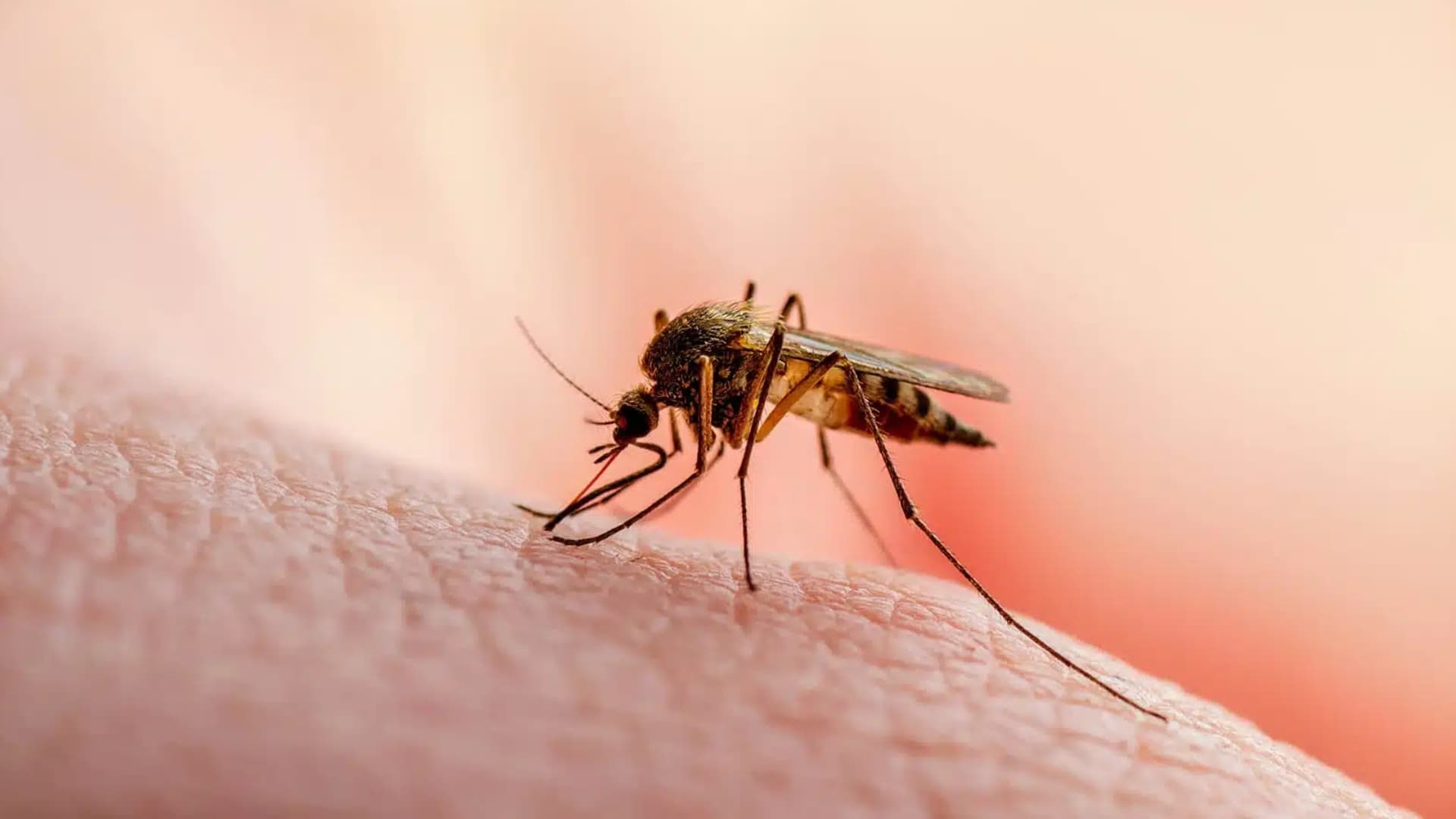 Odisha Battles Malaria Surge, Eyes 2030 Eradication