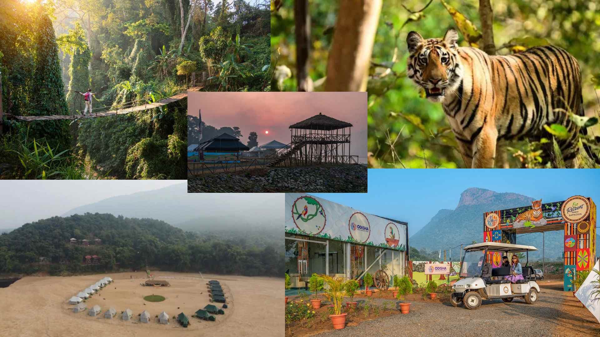 Satkosia’s Six New Ecotourism Hubs Promise Roaring Adventures