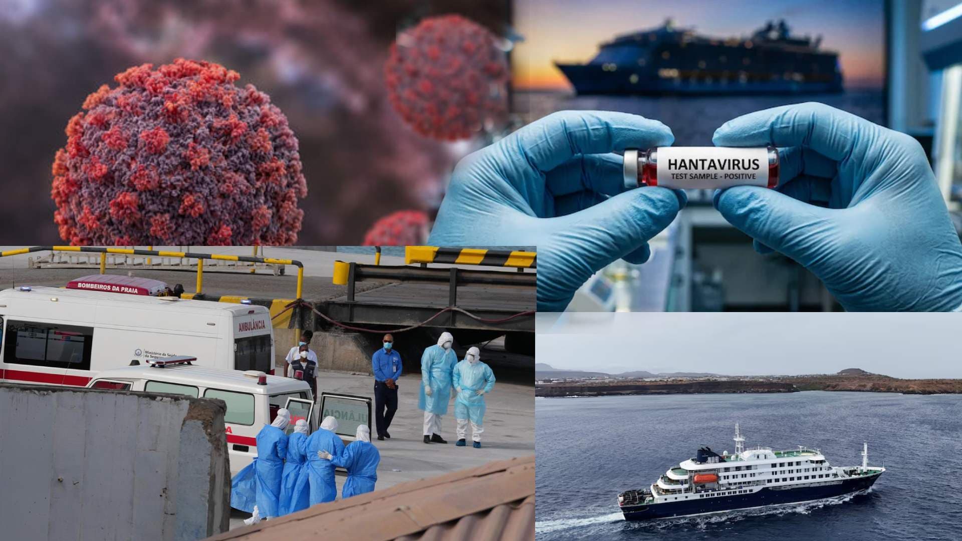 Govt Activates Surveillance After Hantavirus Outbreak on Cruise Ship