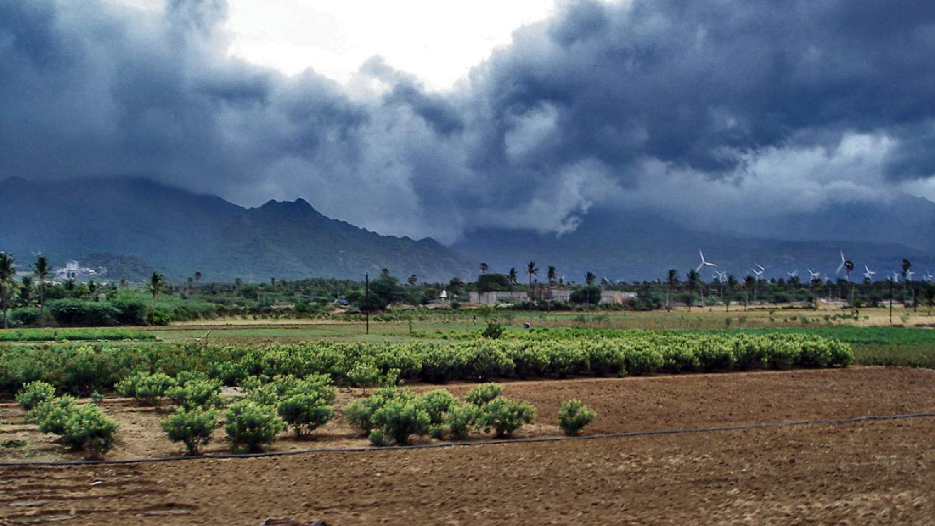 Odisha Boils as Heatwave Persists, Monsoon Advances