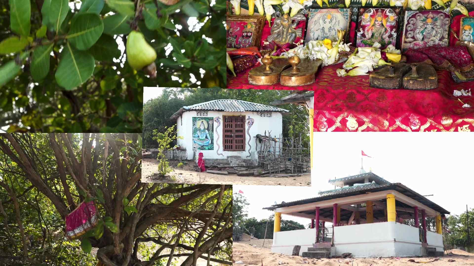 Dilapidated Historic Rishibant Peetha at Brahmagiri Seeks Revival
