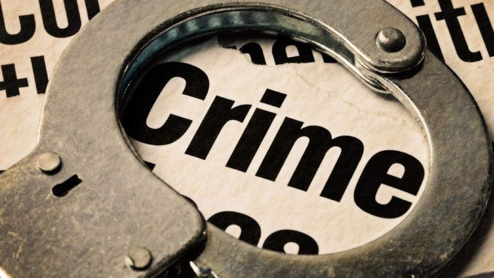 Medical Student Death Case: Family Alleges Murder, Cousin Reveals Missing Diary