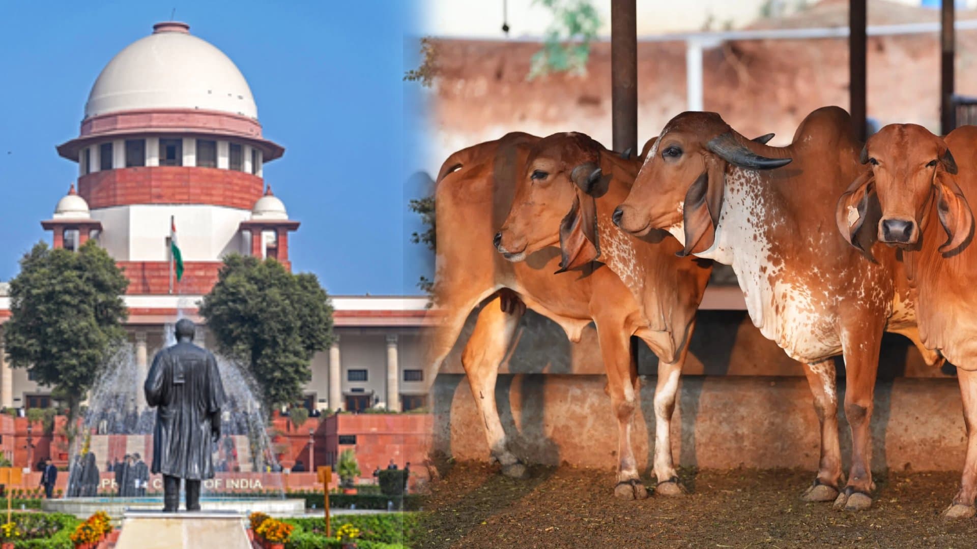 Supreme Court Stays Madras HC Order Enforcing Tamil Nadu Cow Slaughter Ban