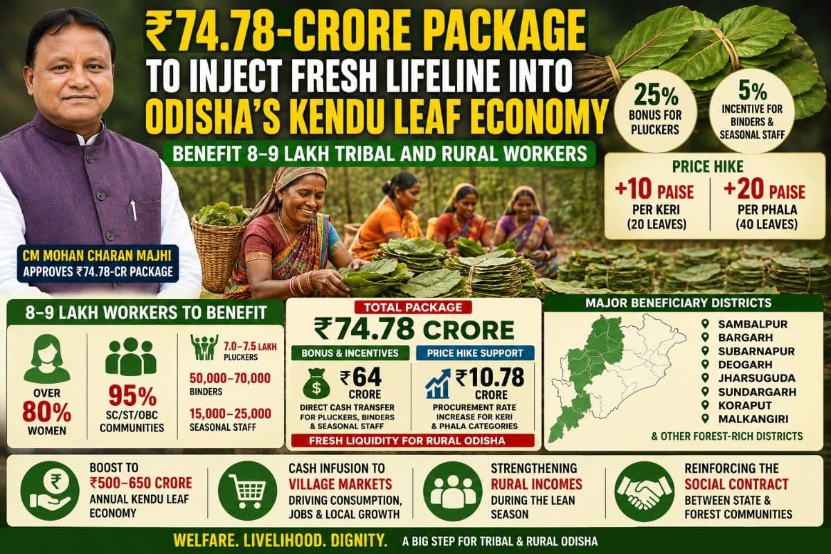 ₹74.78-Crore Package to Inject Fresh Lifeline Into Odisha’s Kendu Leaf Economy, Benefit 8–9 Lakh Tribal and Rural Workers| Special Report