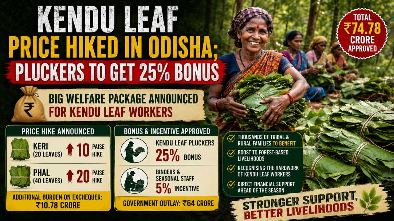 Kendu Leaf Price Hiked in Odisha; Pluckers to Get 25% Bonus