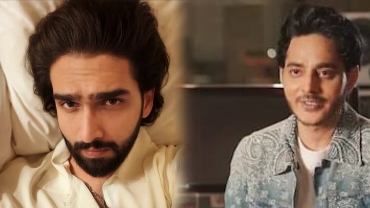 Amaal Mallik Targets Tanishk Bagchi Again; Writes 'Put This Rat Back in His Place' in Veiled Post