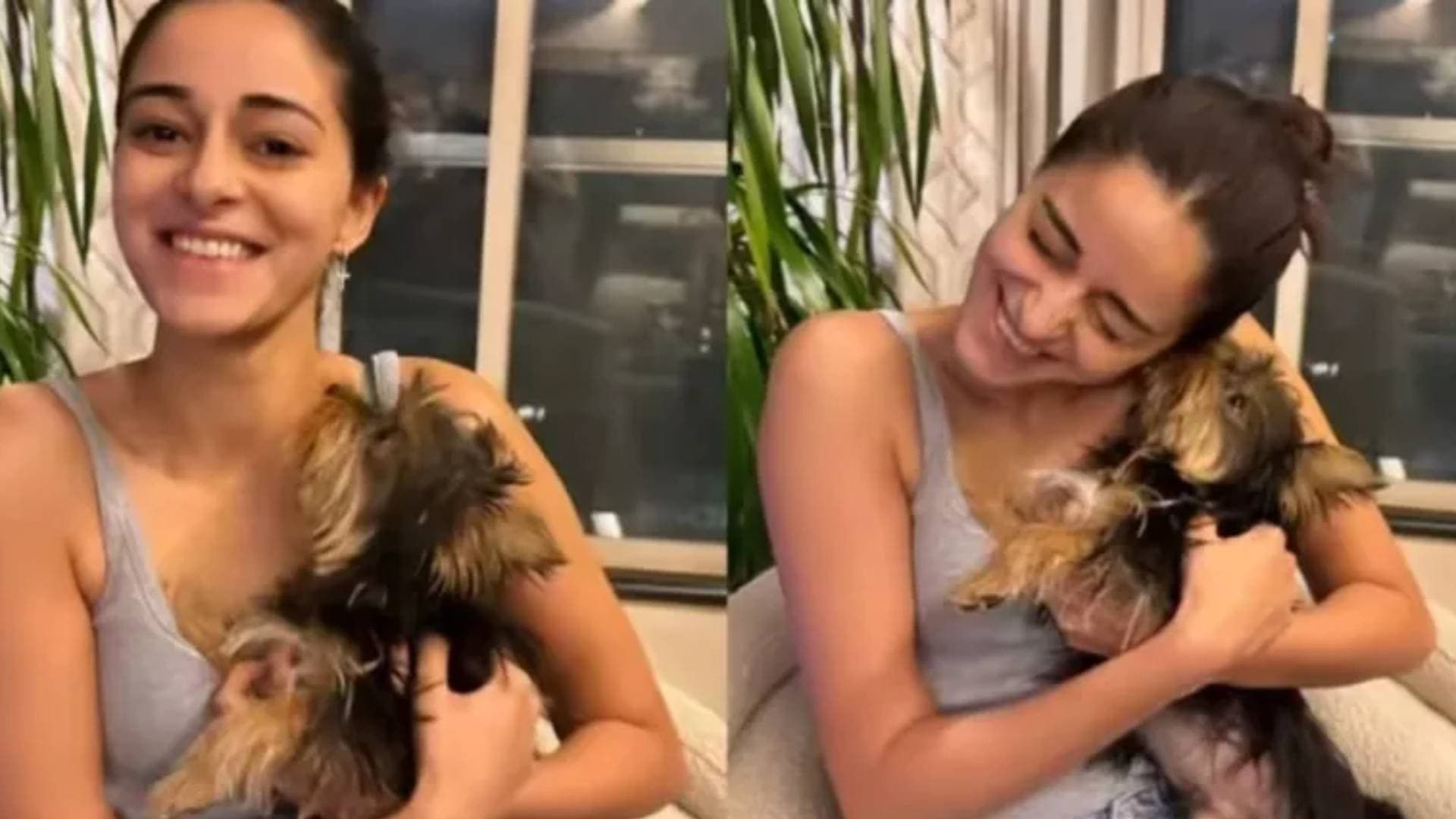Ananya Panday Is Lit Up As She Shares Moments With ‘God Son’ Pablo