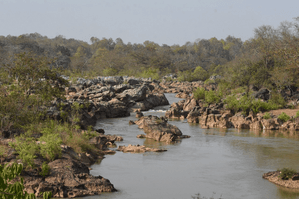 Odisha Declares Gupteswar Forest As 4th Biodiversity Heritage Site