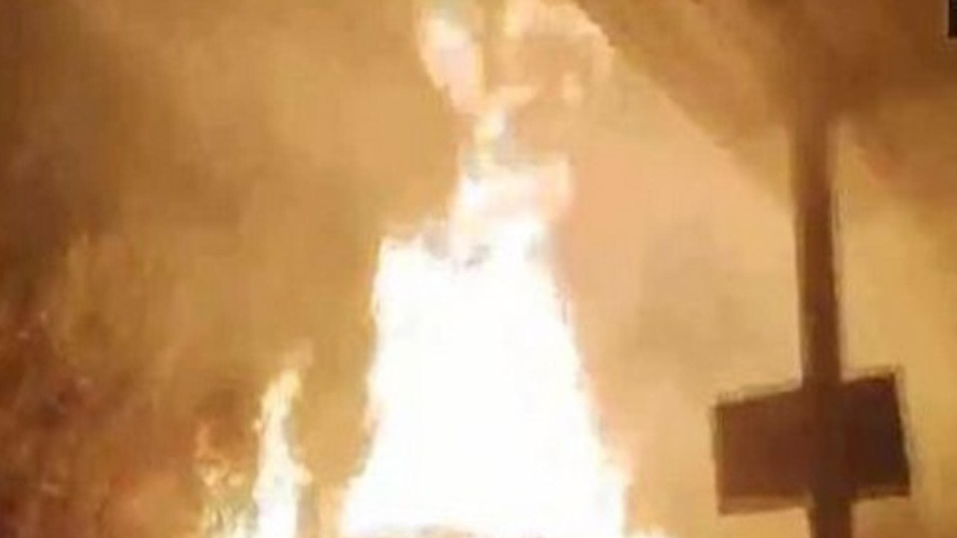 Fire breaks out at bamboo nursery in Gujarat's Navsari