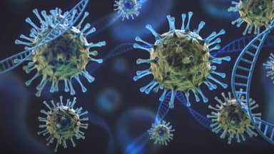 Scientists Decode What Causes Cell Damage In Long Covid
