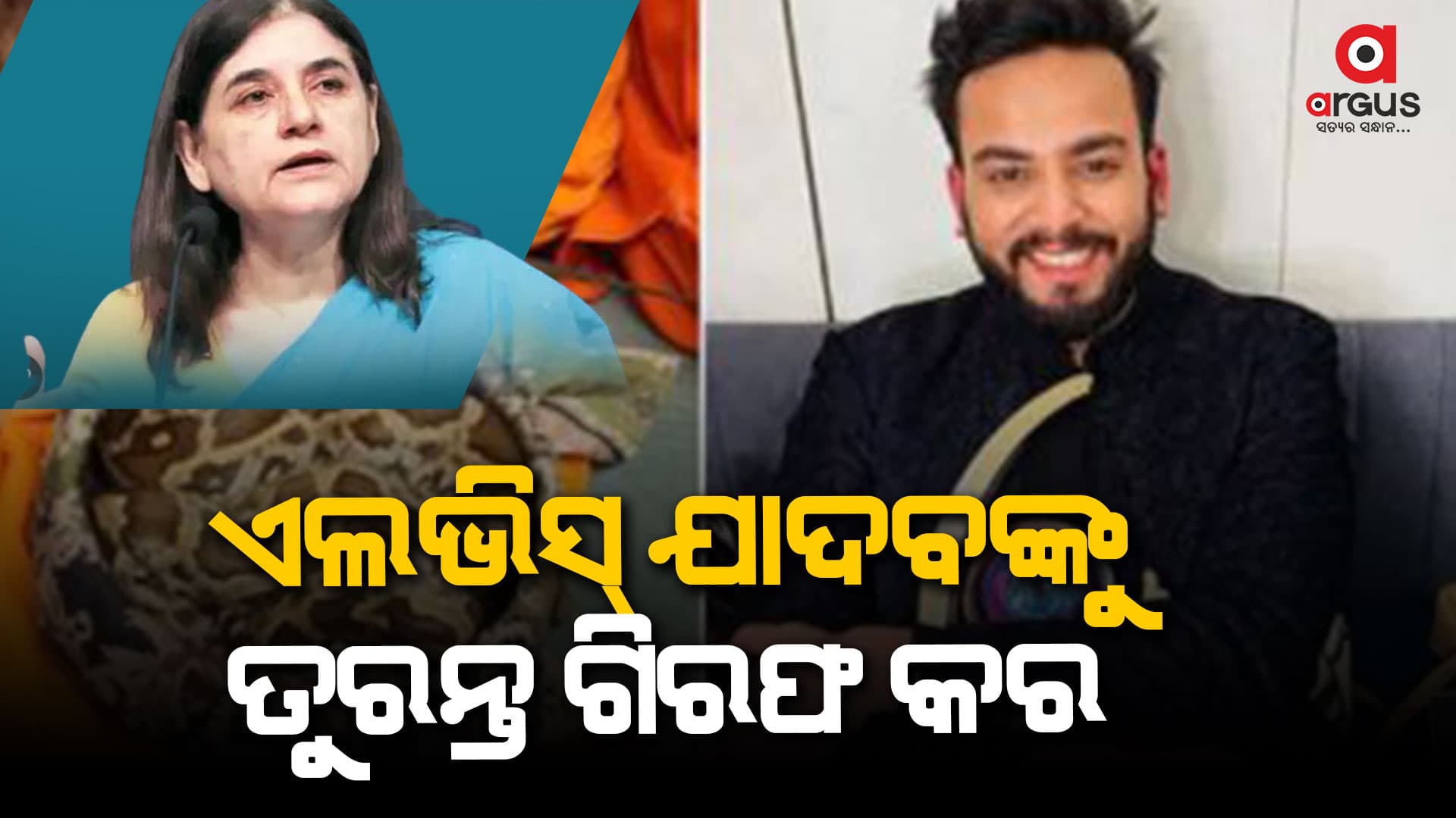 ସାପ ବିଷ  ବିକୁଛନ୍ତି  ବିଗ୍ ବସ୍ ୱିନର ଏଲଭିସ୍ ଯାଦବ