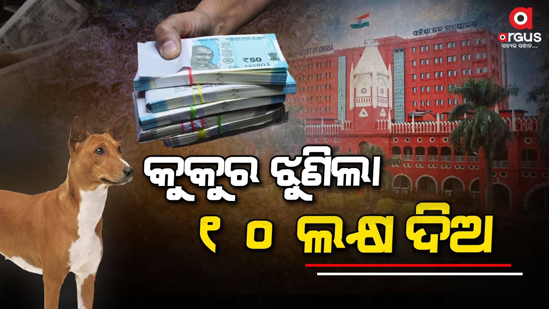 କୁକୁର ଝୁଣିବା ପାଇଁ 10 ଲକ୍ଷ ତଣ୍ଡ 
