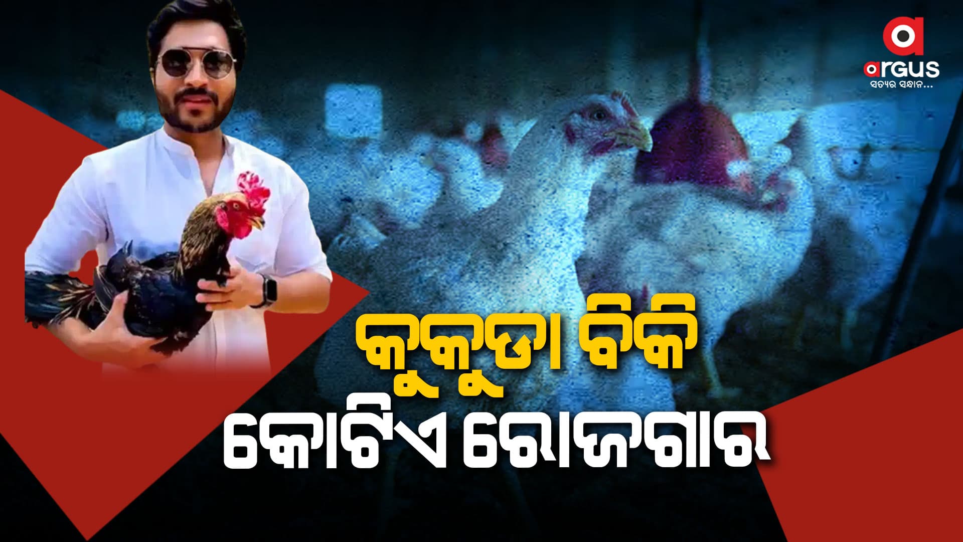 କୁକୁଡା ବିକ୍ରି କରି ମାସକୁ ରୋଜଗାର ହେଉଛି କୋଟିଏ 