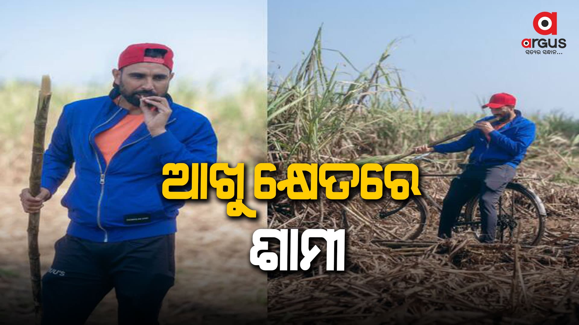ସାଇକେଲରେ ବସି ଆଖୁ ଖାଇବାର ମଜା ନେଉଛନ୍ତି ମହମ୍ମଦ ଶାମୀ