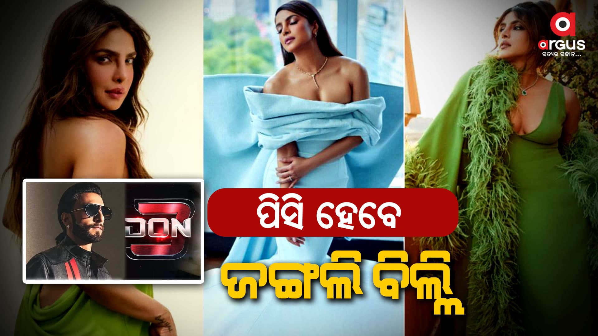 ଦୀର୍ଘ ଦିନର ବିରତି ପରେ ବଲିଉଡରେ କମବ୍ୟାକ କରିବେ ଦେଶୀ ଗର୍ଲ