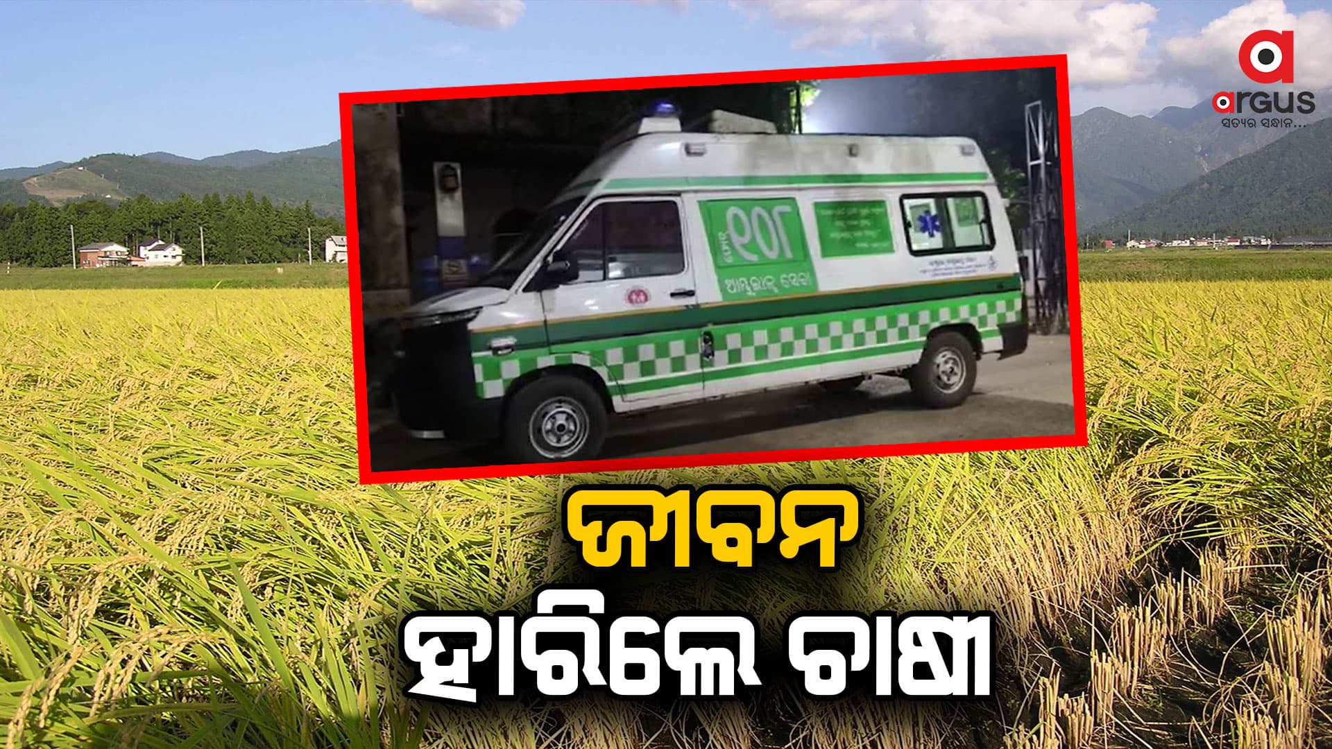ଋଣ ଶୁଝି ନ ପାରି ଜୀବନ ହାରିଲେ ଚାଷୀ