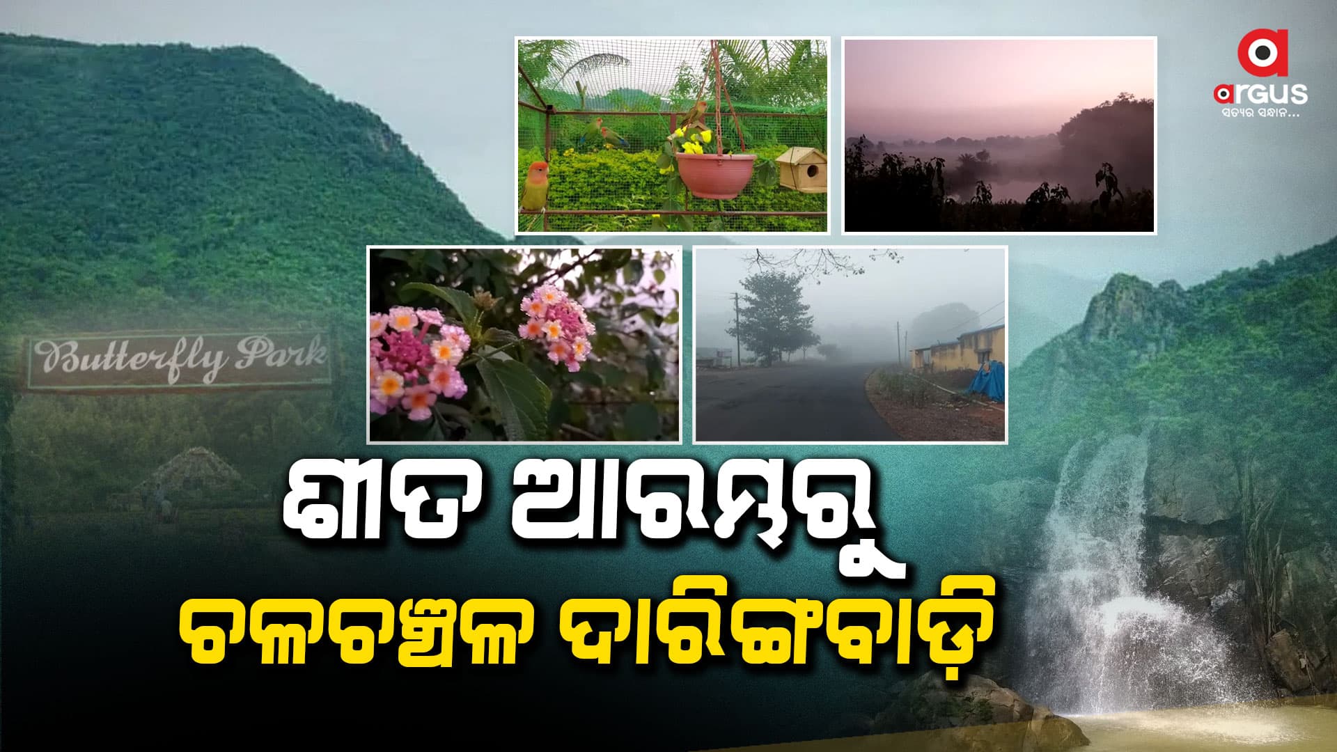 ଶୀତ ଆସିଛି : ଚାଲ ଯିବା ଓଡ଼ିଶାର କାଶ୍ମୀର ଦାରିଙ୍ଗବାଡ଼ି