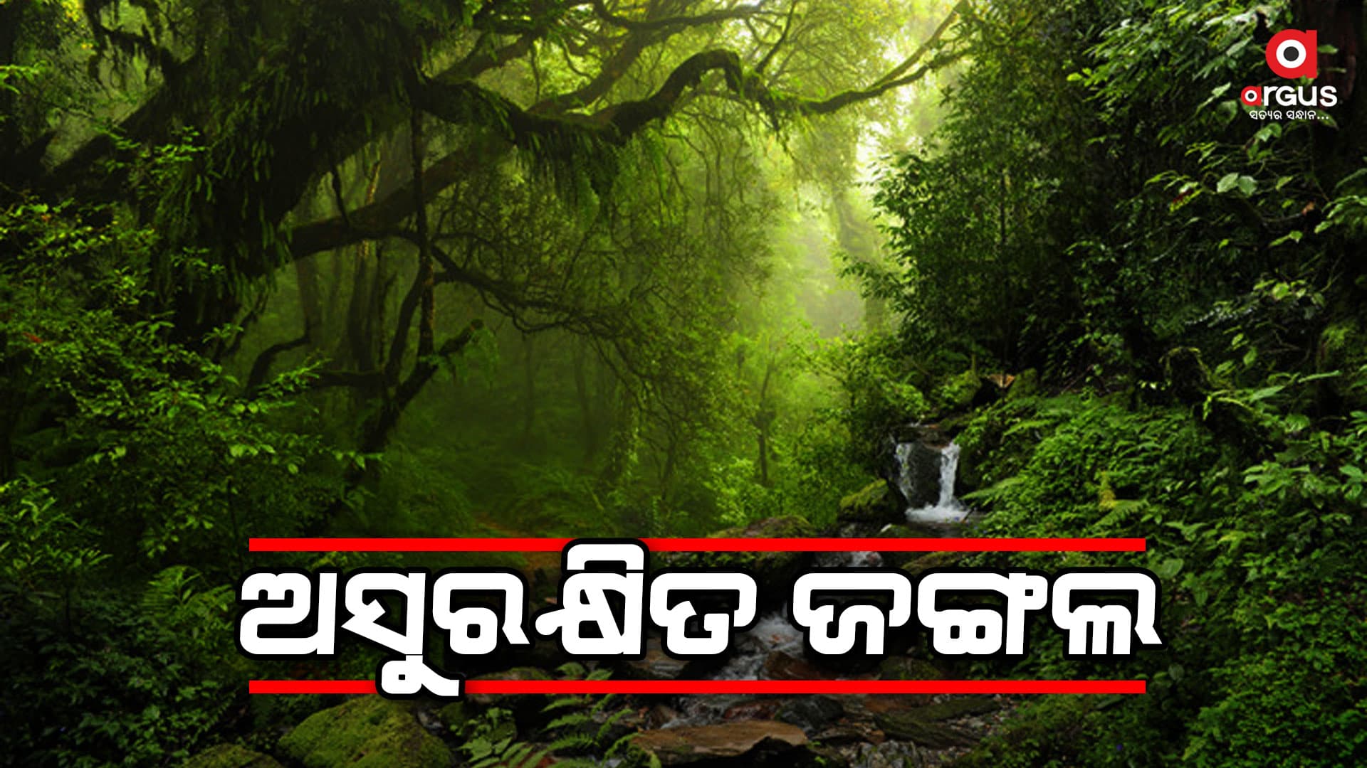 ଶିକାର, ଖାଦ୍ୟ ଓ ପାଣି ଅଭାବରୁ ଜନ ବସତି ମୁହାଁ ଜଙ୍ଗଲି ଜନ୍ତୁ