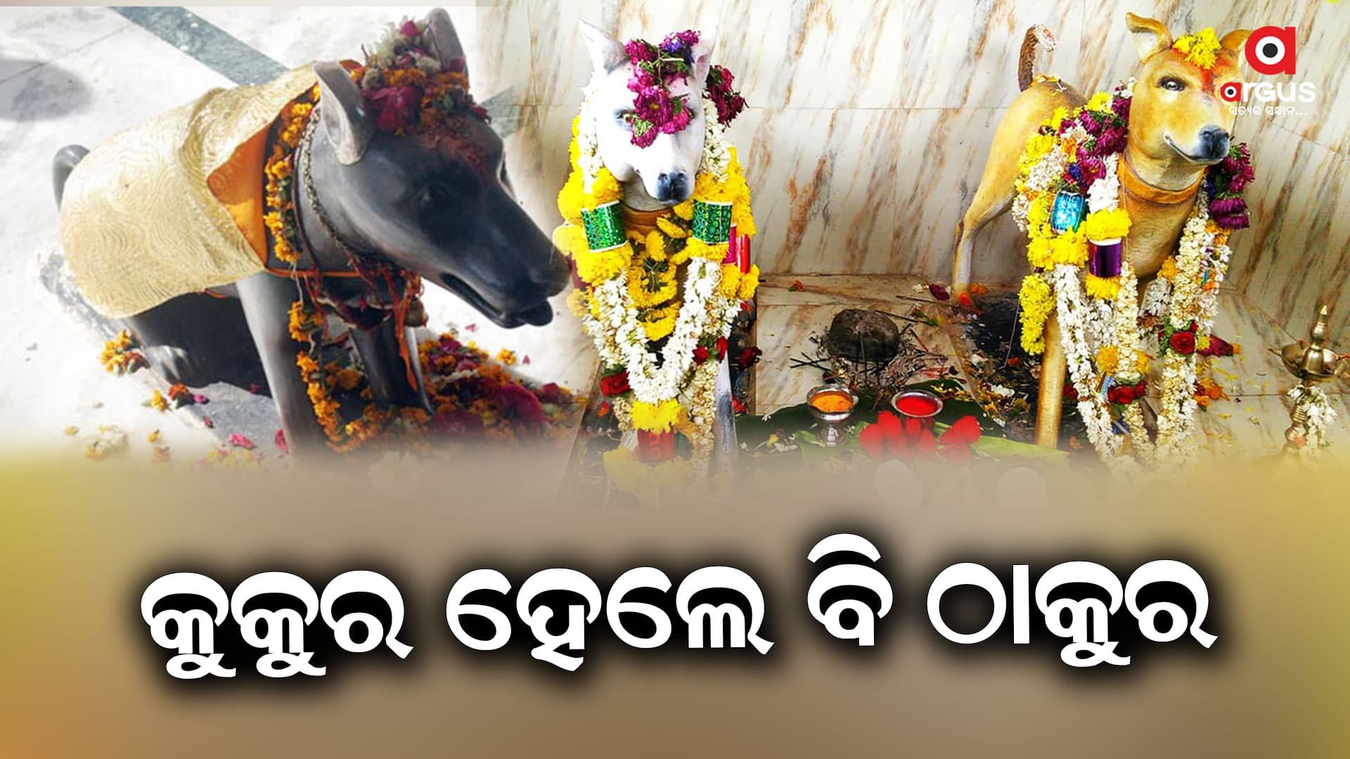 ଏହି ମନ୍ଦିରରେ କୁକୁର ପୂଜା ପାଏ