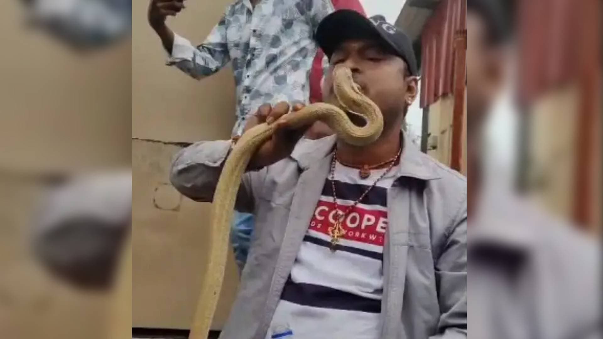 Dangerous Encounter: Viral Cobra Stunt Draws Criticism