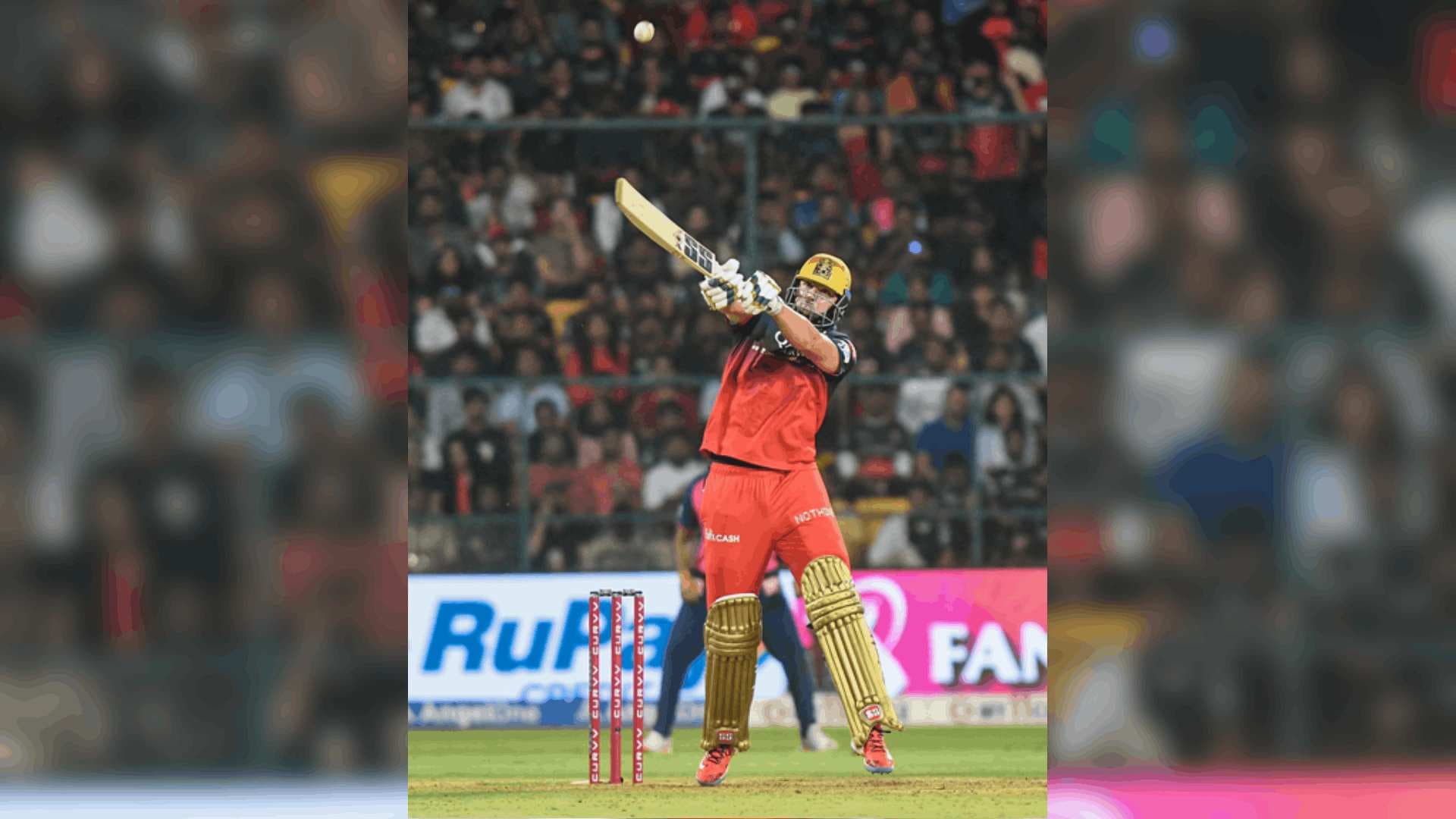 IPL 2025: Kohli, Padikkal Smash Fifties As RCB Post A Massive 205/5 Against RR