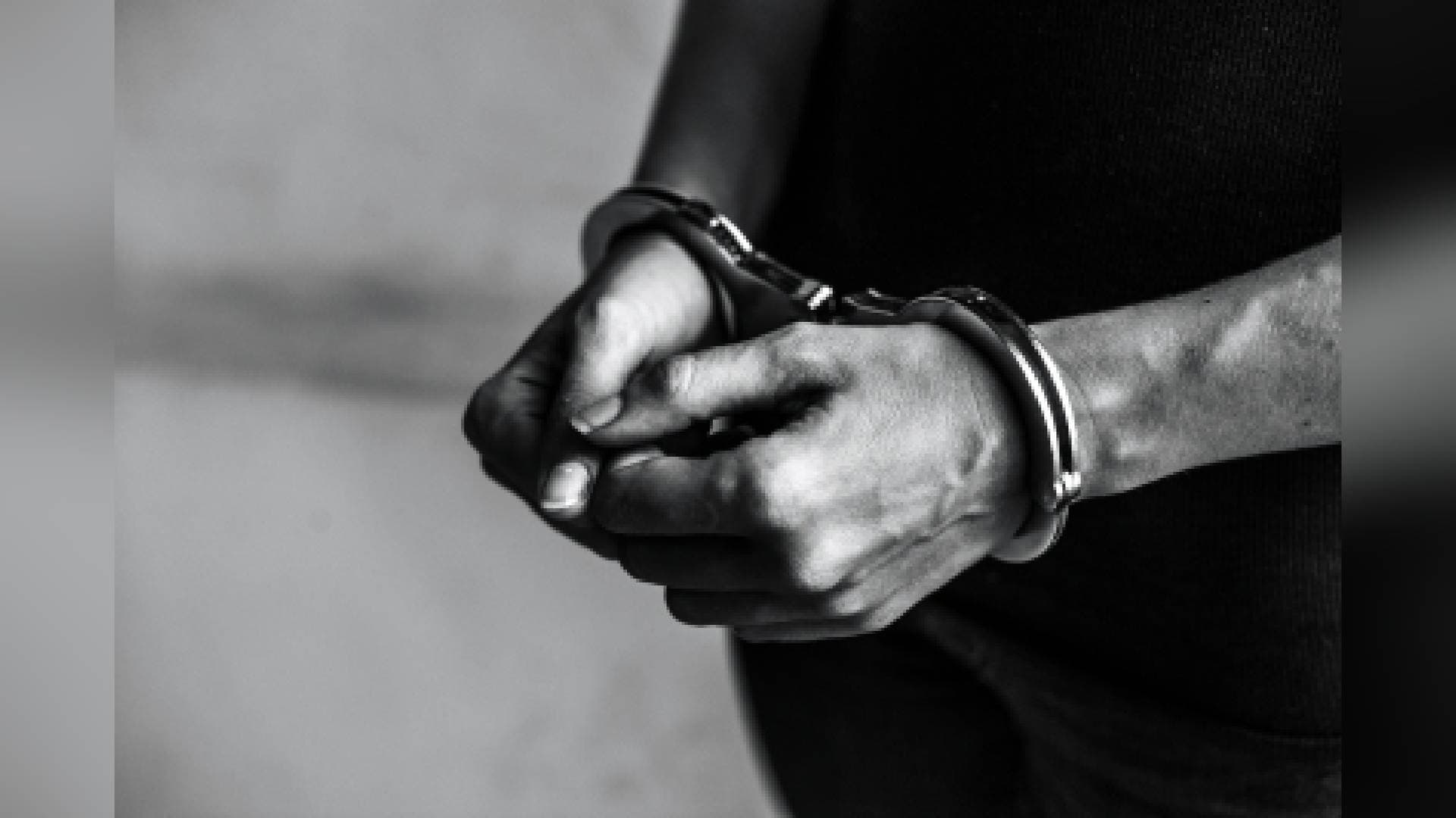 Terror Plot Foiled, Two Arrested In Andhra And Telangana