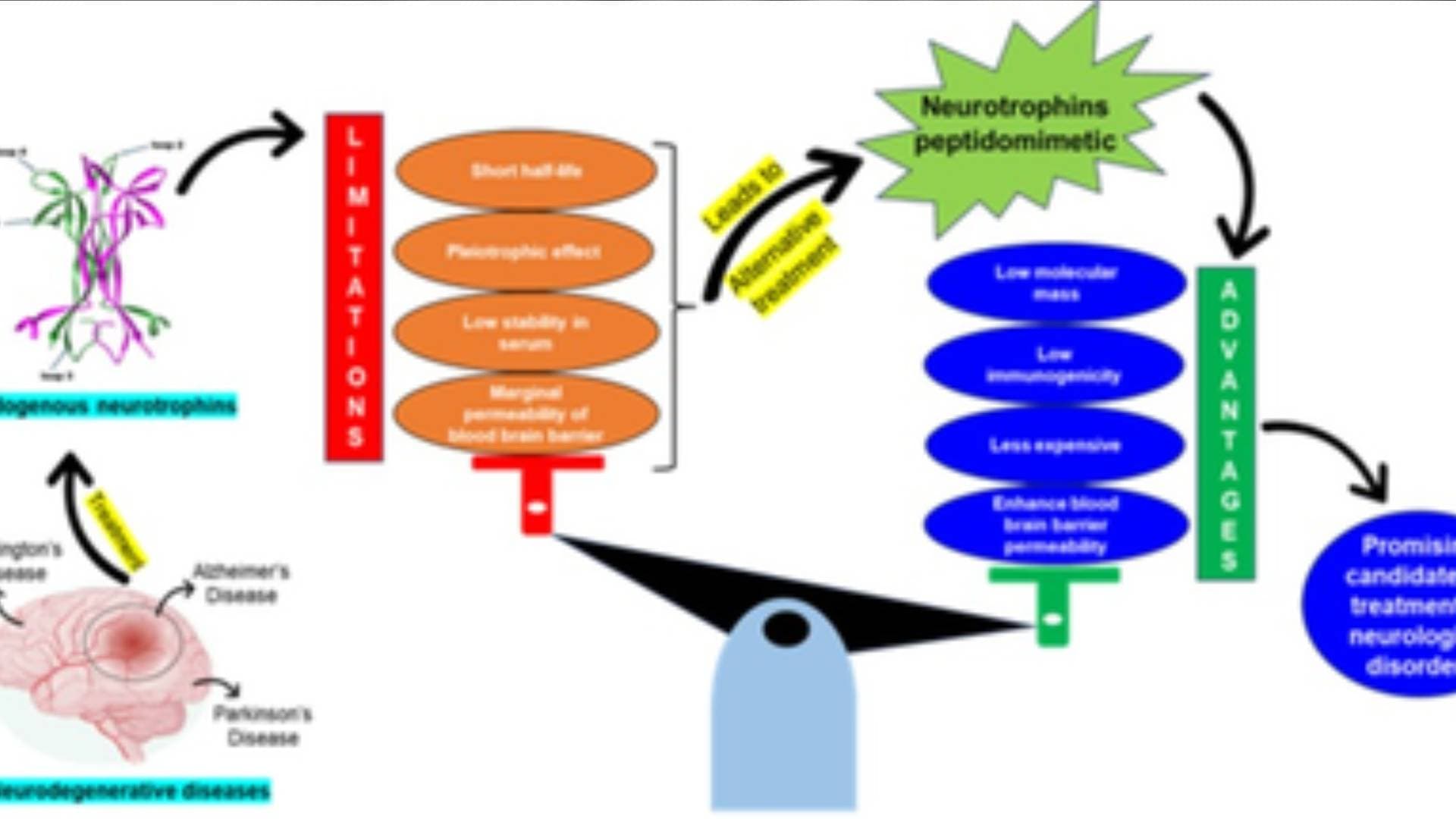 Indian Scientists Find Drugs With Potential To Treat Neurodegenerative Disorders