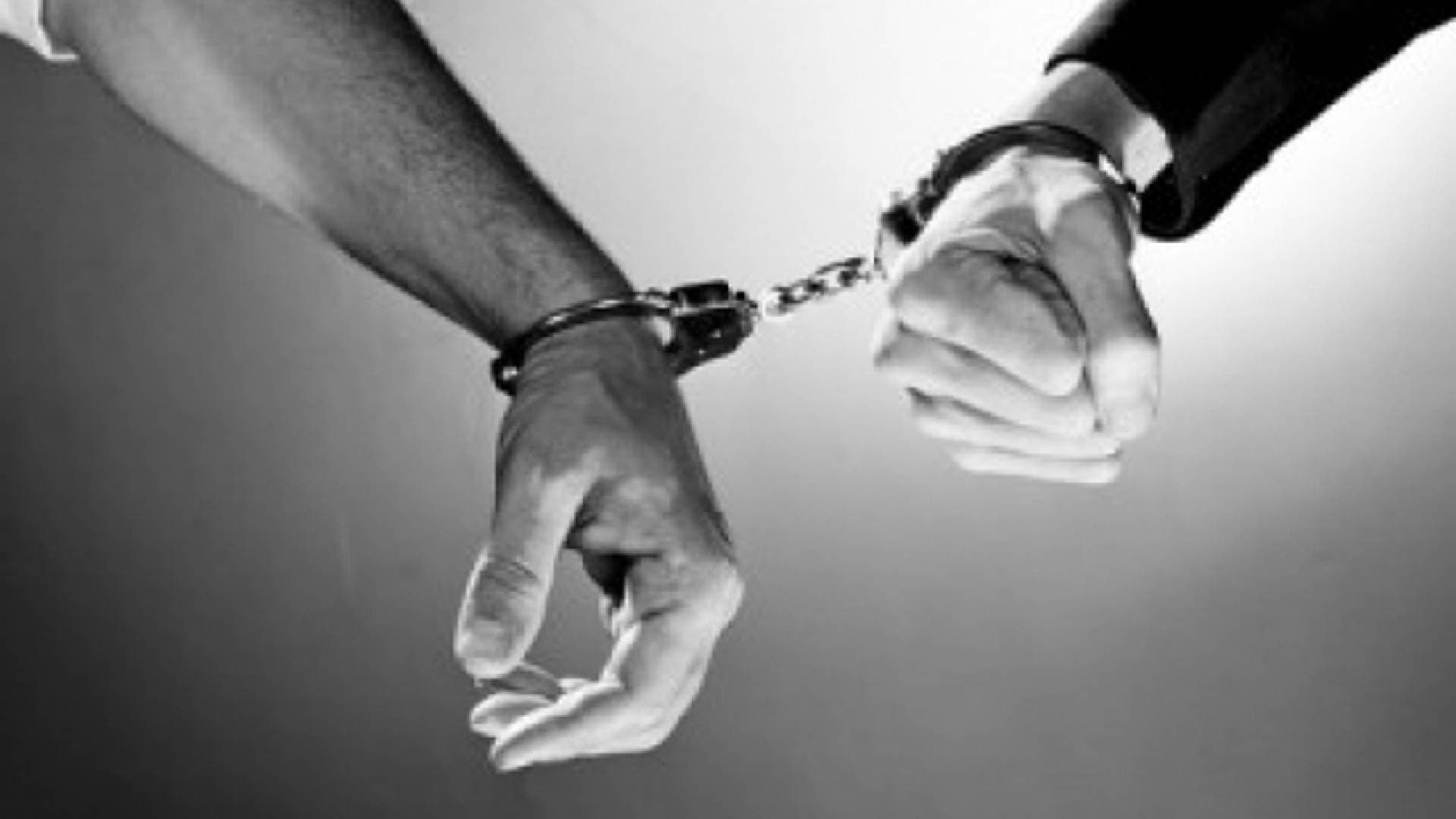 Two More Arrested From West Bengal In Odisha Ponzi Scam