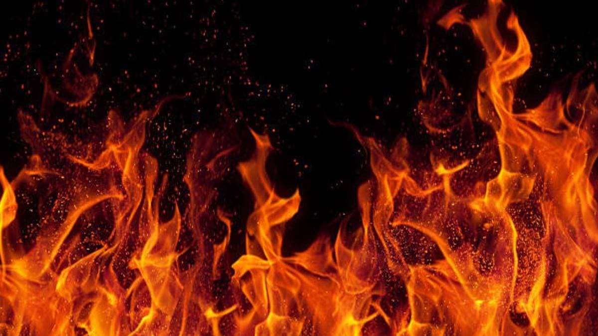 Electrical Short Circuit Sparks Deadly Fire In Cowshed, Seven Cattle Burnt Alive