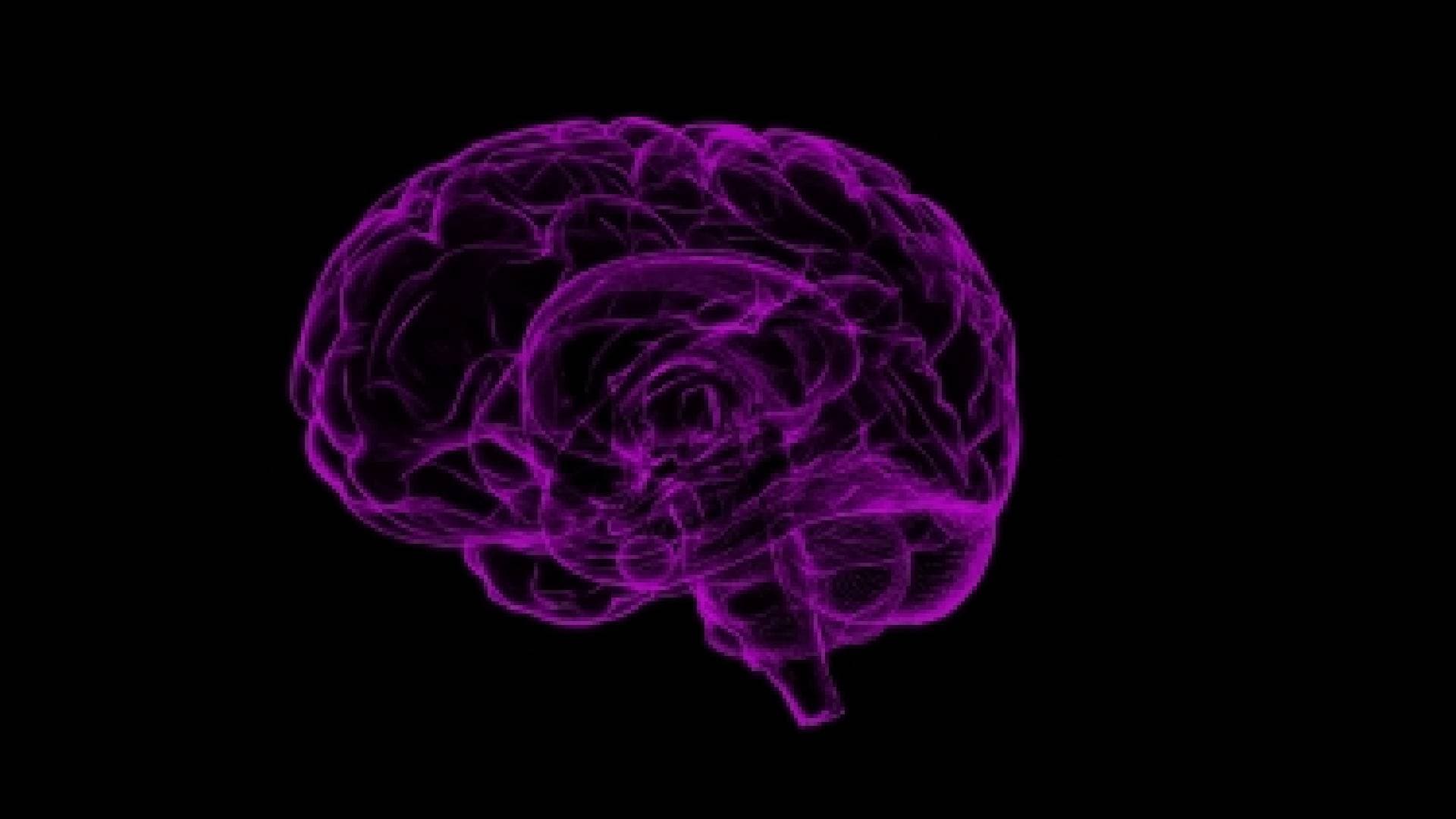 Study Finds Common Gene Variant That Doubles Dementia Risk For Men