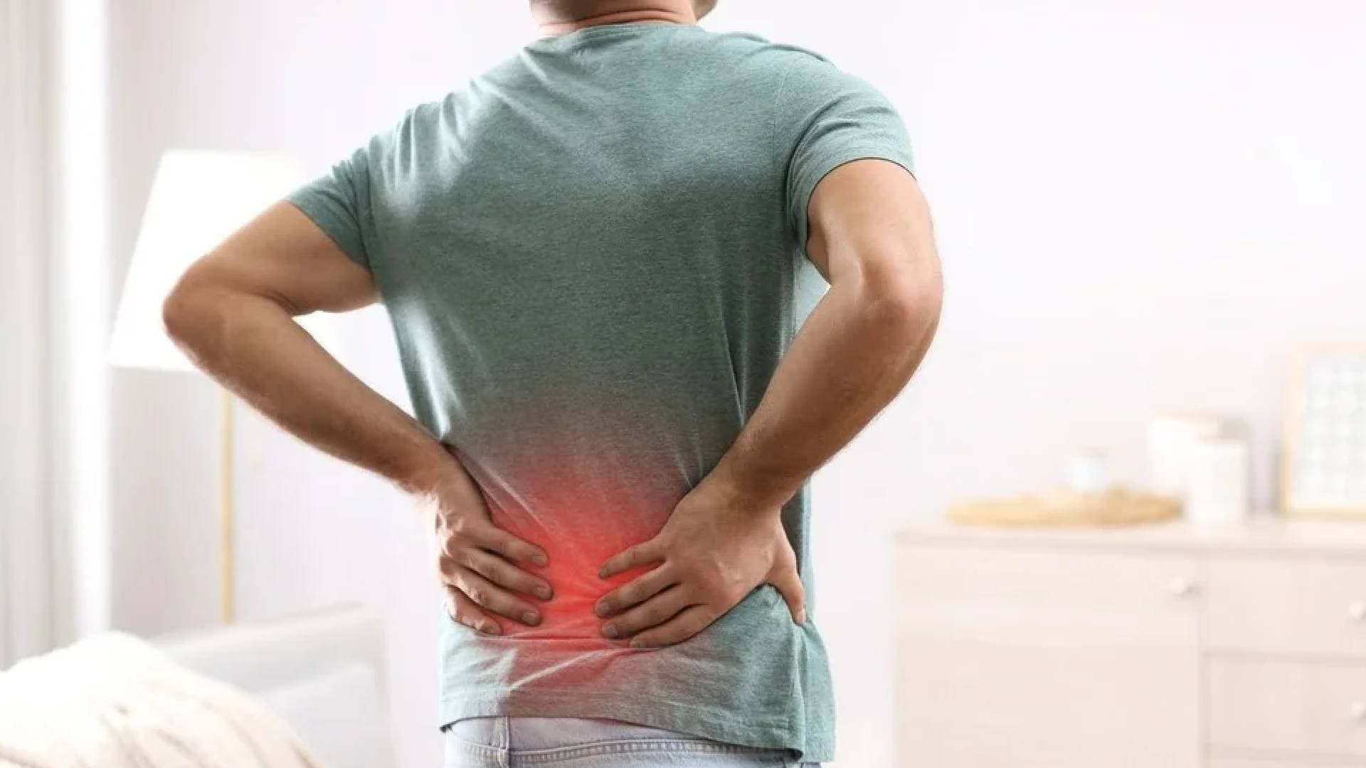 Suffering From Chronic Back Pain? Nature May Help You, Shows Study