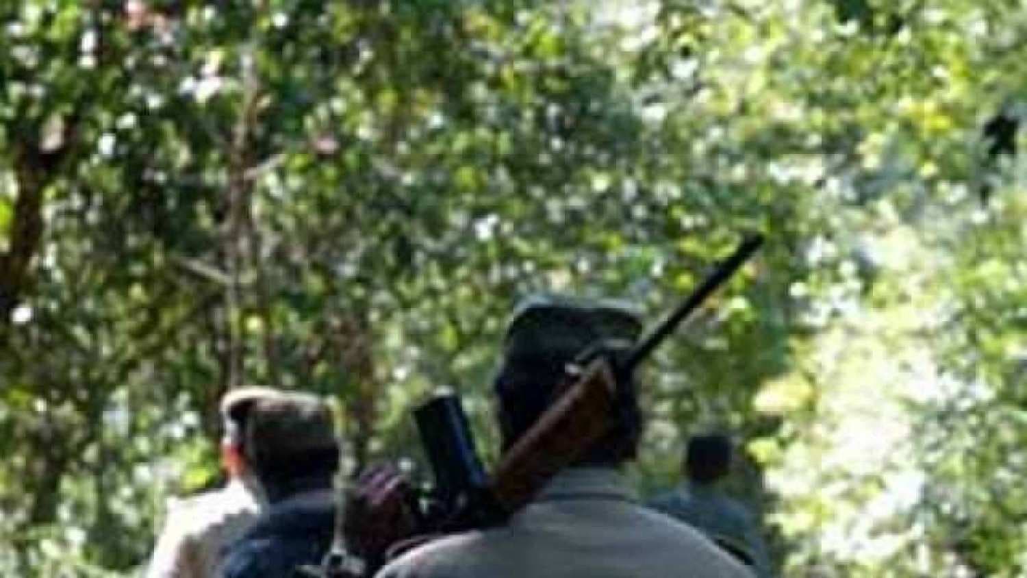 More Explosives Seized: Intense Checks Carried Across Three Odisha Districts
