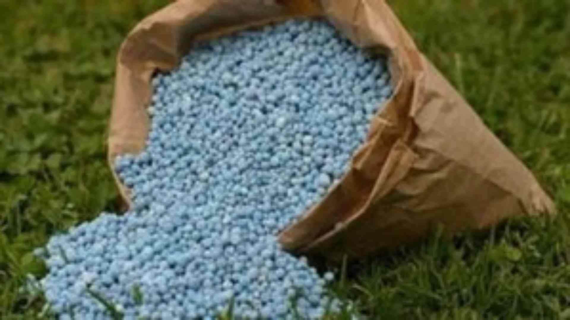 Govt Sets Ball Rolling For Green Ammonia-Based Fertilisers To Reduce Carbon Footprint