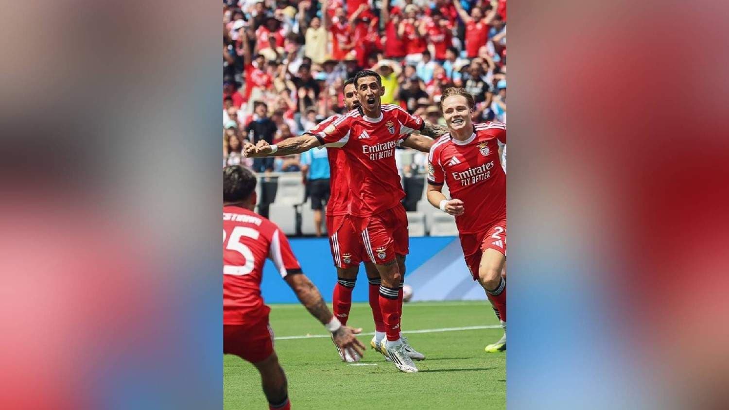 Club WC: Benfica Beat Bayern To Top Group C