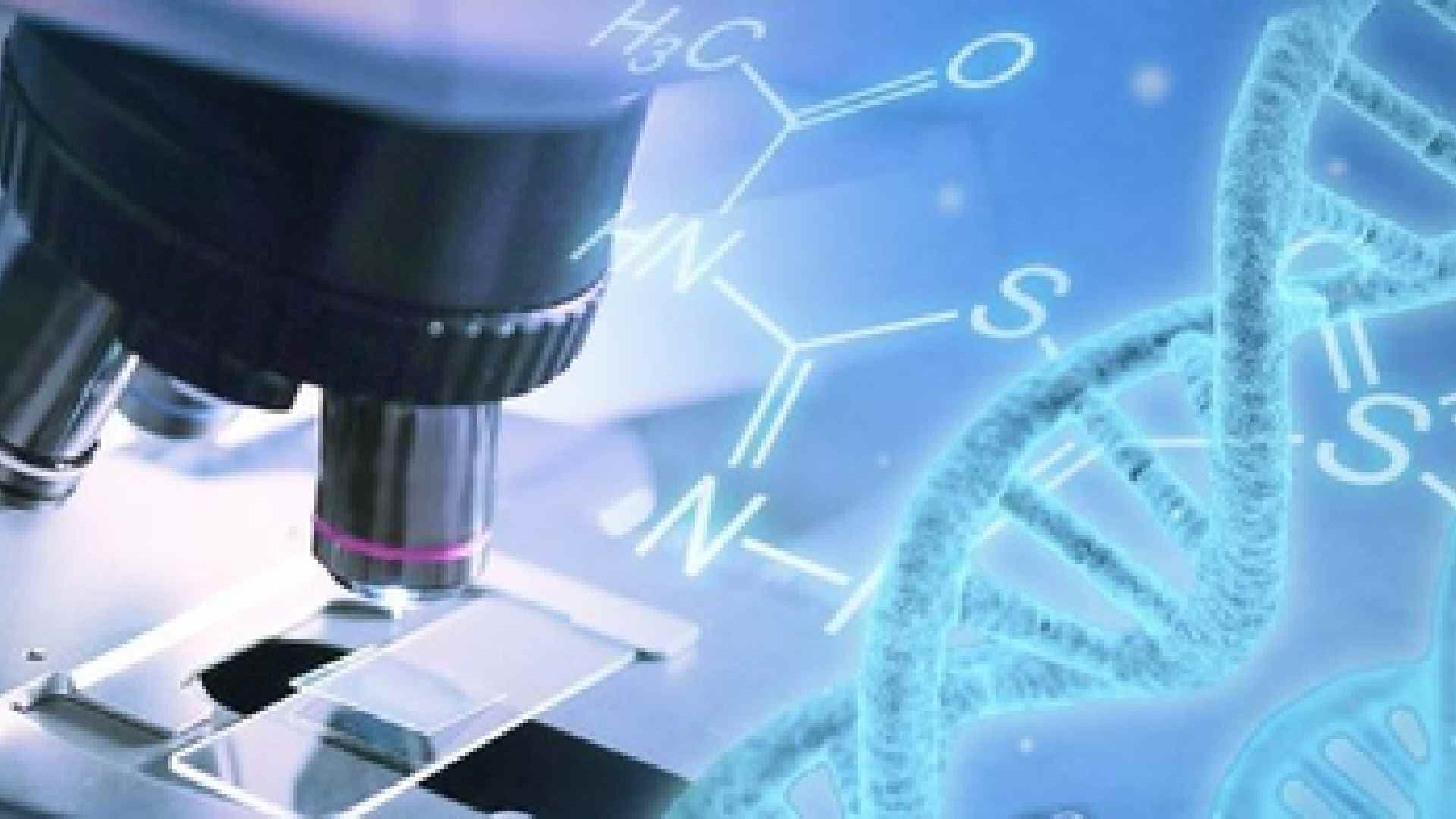 Australian Scientists Discover Proteins That Could Help Fight Cancer, Slow Ageing