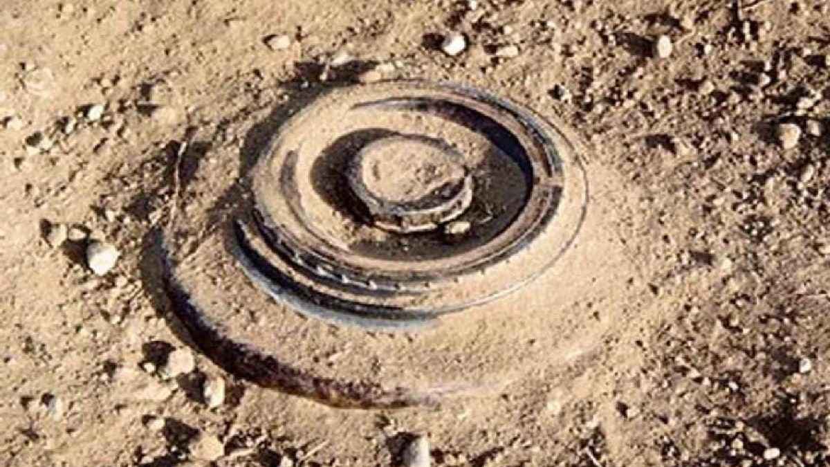 Security Forces Recover 30 Landmines In Saranda Forest