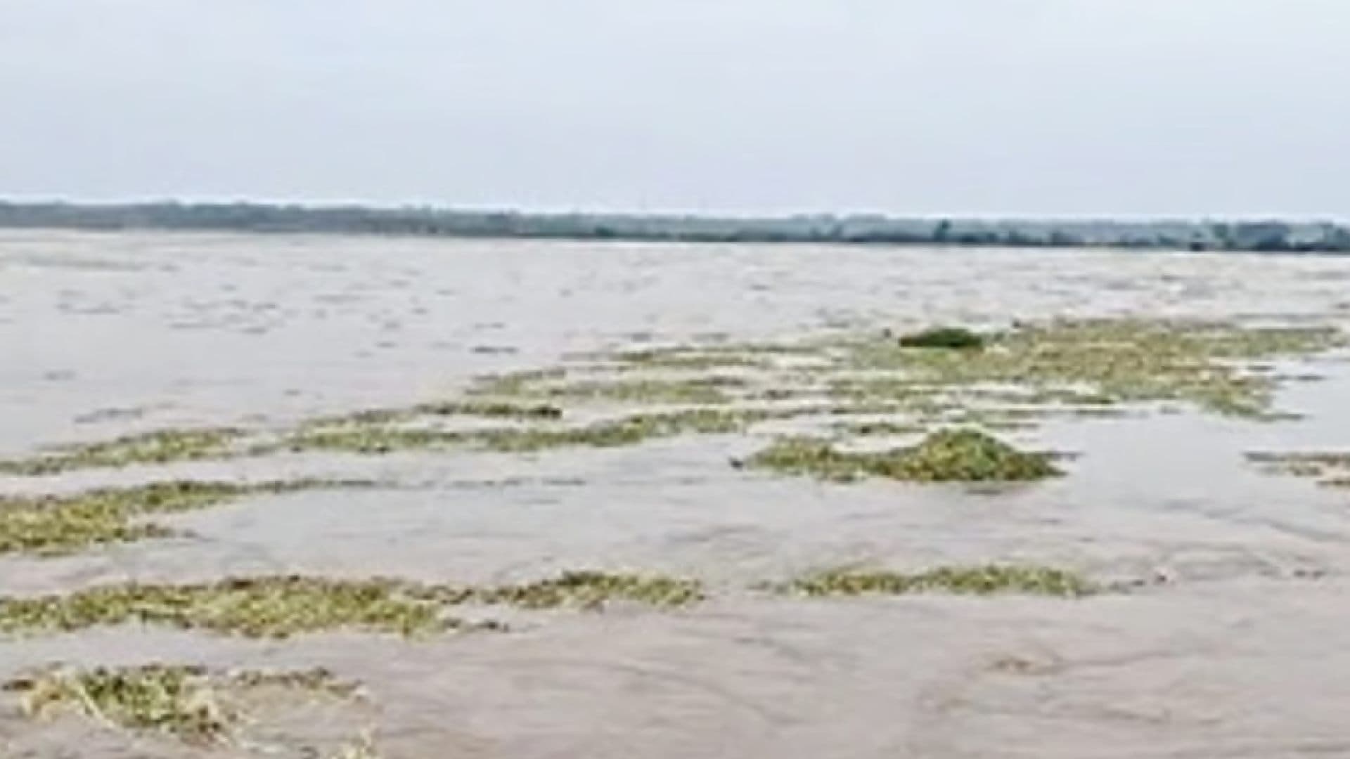 Balasore Battles Rising Waters: Subarnarekha Floods Threaten Thousands