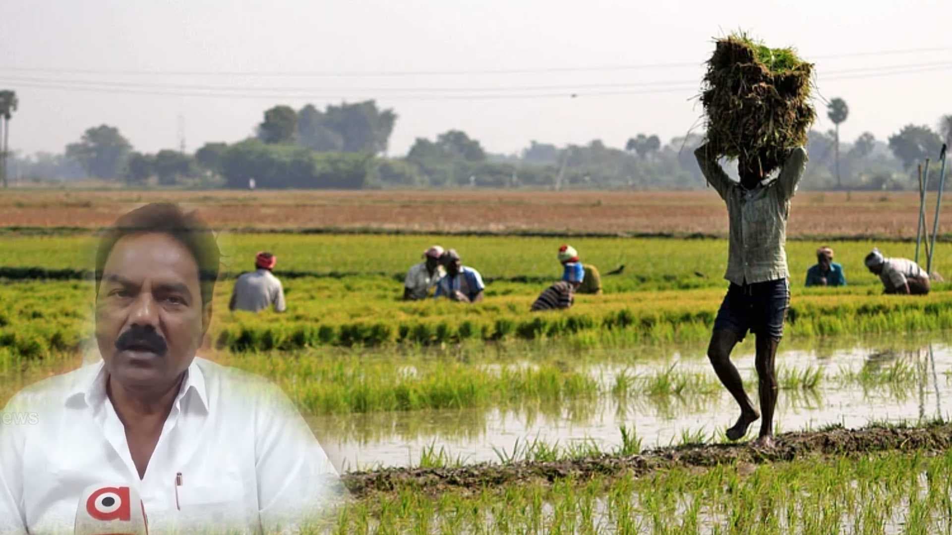 “Register, Sell Paddy, Get Paid”: Odisha Minister to Farmers