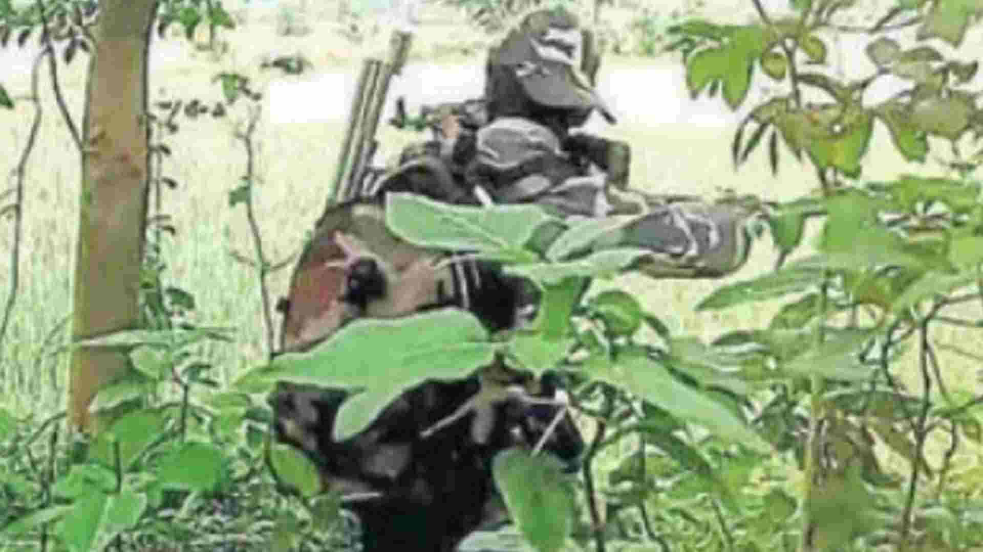 Chhattisgarh: Security Forces Arrest One Maoist In Narayanpur