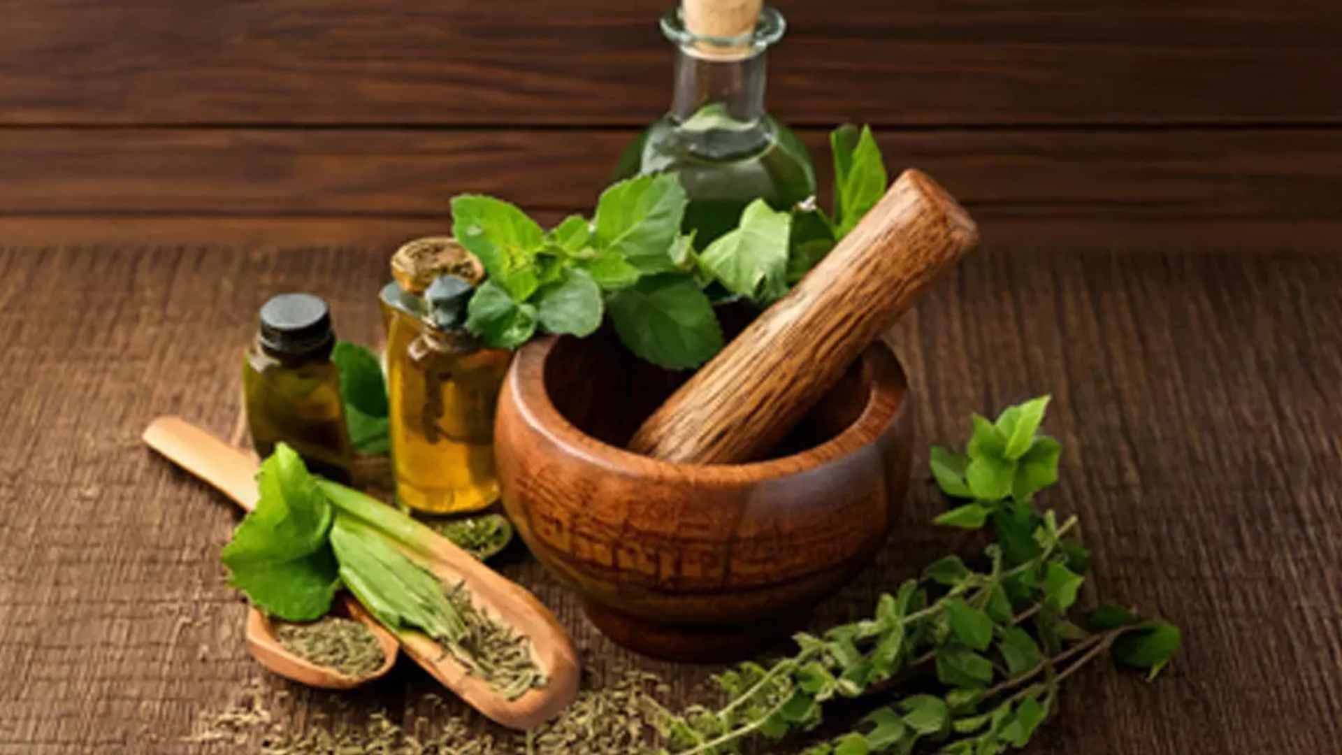 Pharmacopoeia Commission Conducts Training Programme To Boost Regulation, Quality Of Ayush Drugs