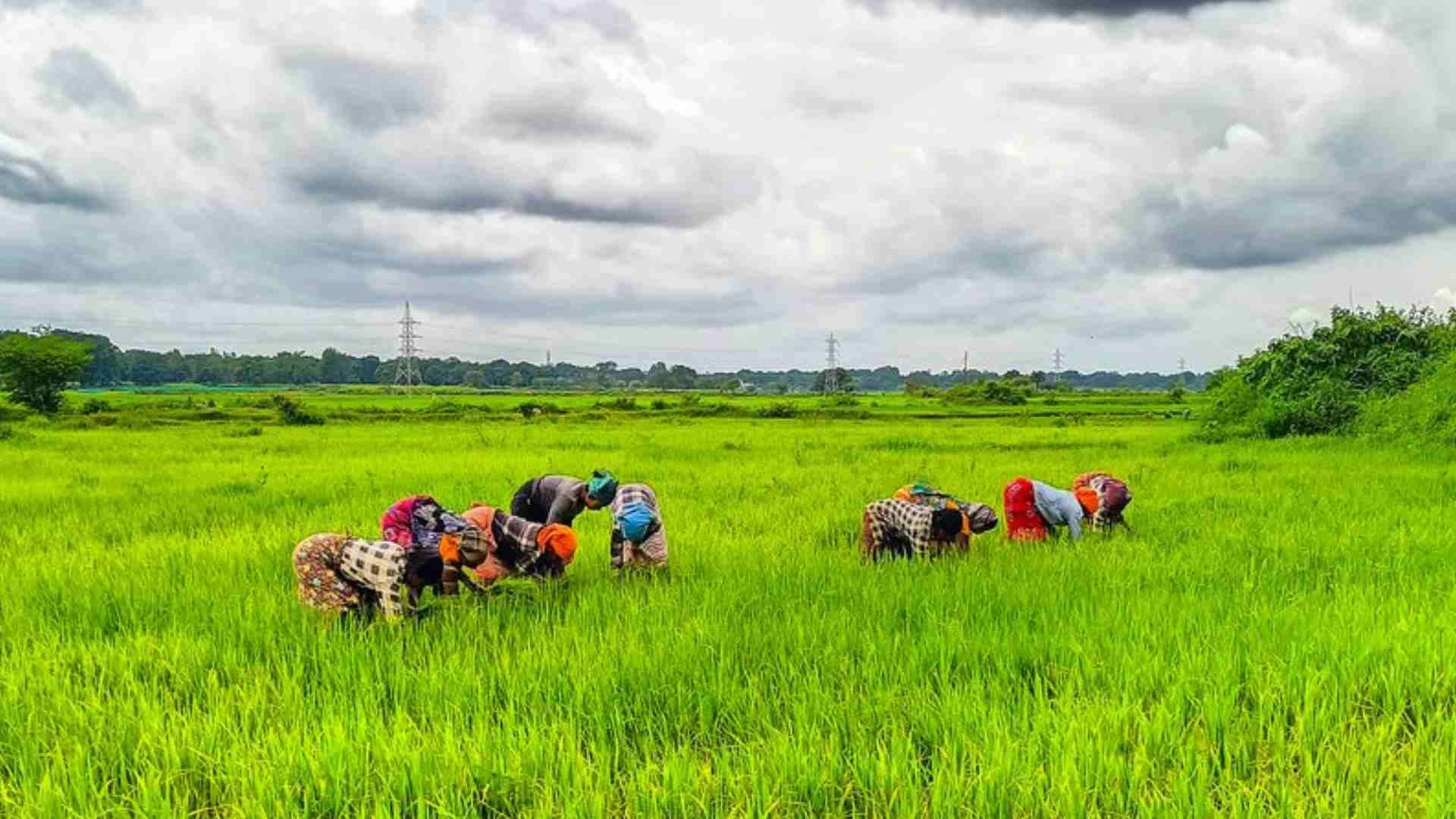 Over 50 Lakh Farmers Become Shareholders In 10,000 FPOs In 5 years