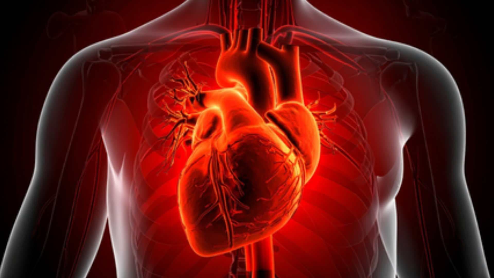 Heart Diseases Kill 8 People Every Minute In South-East Asia: WHO