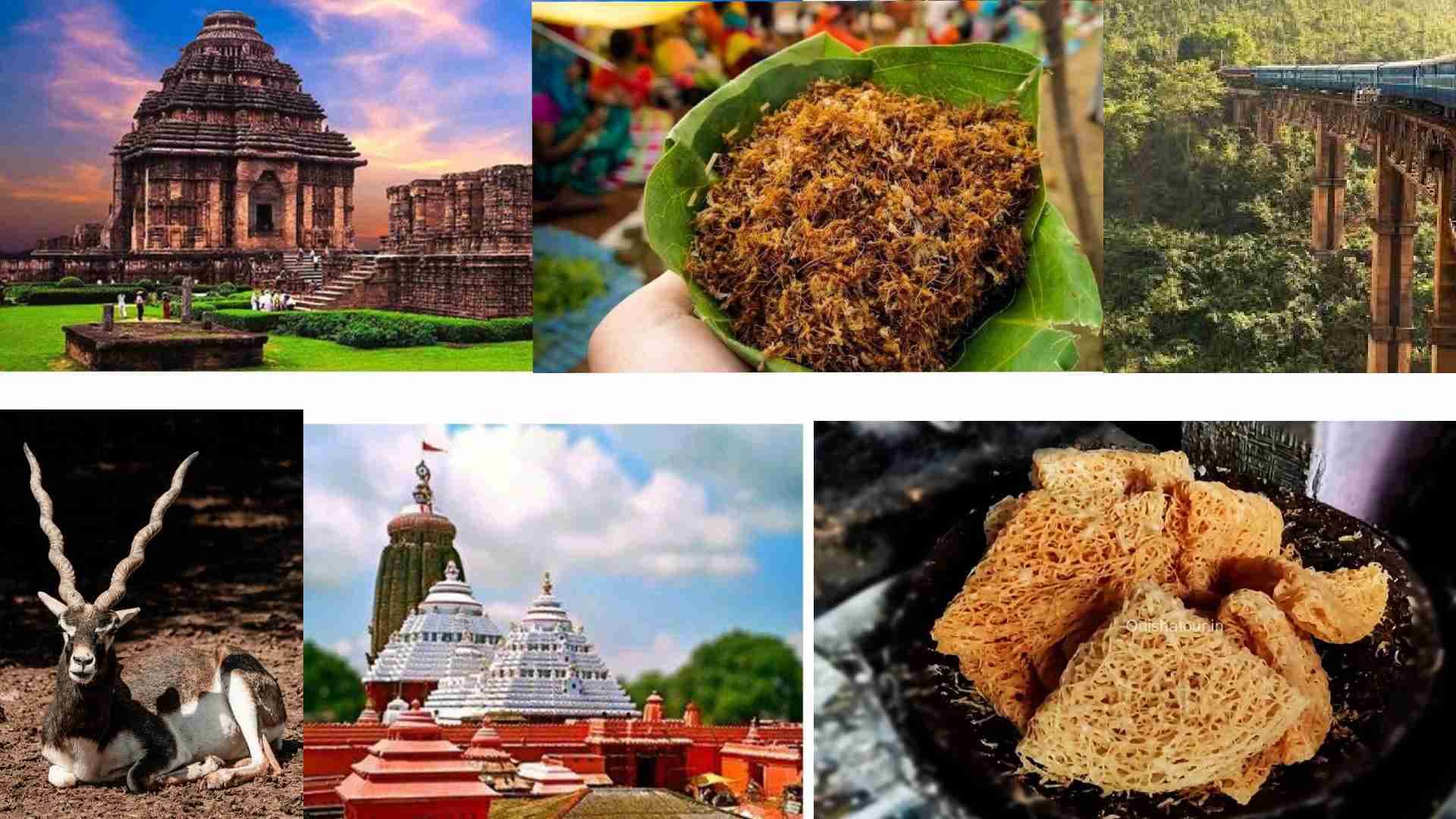 Exploring Odisha: The Land Of Untold Stories, Undiscovered Beauties And Many More
