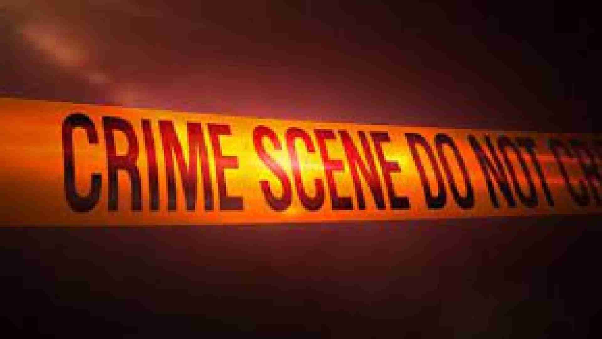 Police Foil Major Criminal Plot, Seize Guns & Live Bullets In Mayurbhanj Forest